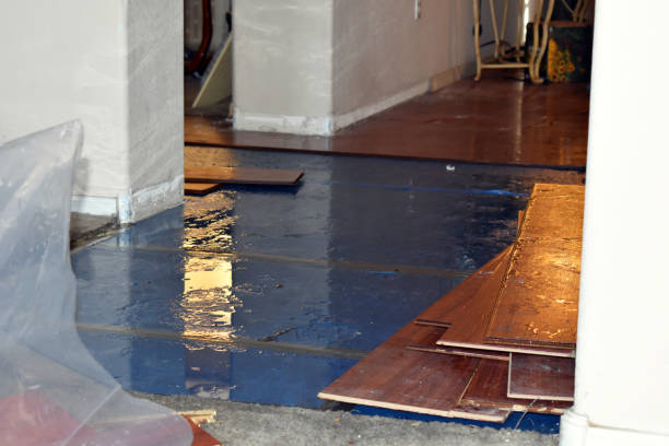 Professional Basement Flood Cleanup technician working in Mears, MI