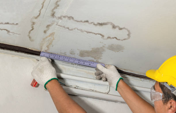 Reliable Basement Flood Cleanup contractor in Mears, MI by Aqua Guard Water Damage